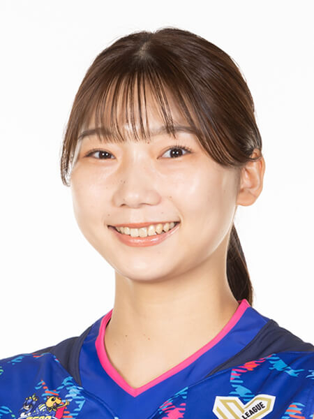 山地 梨菜