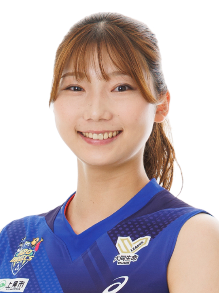 山地 梨菜